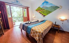Chrissie's Hotel