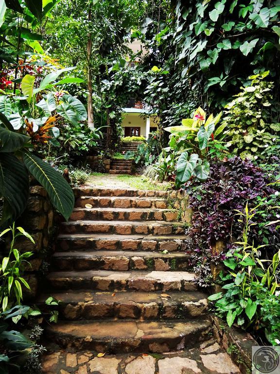 Chrissie's Hotel Thekkady Exterior foto
